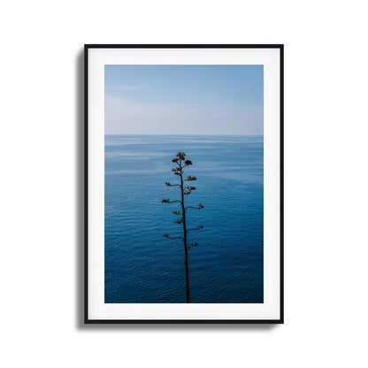 Bold Bloom Against Blue Framed Art