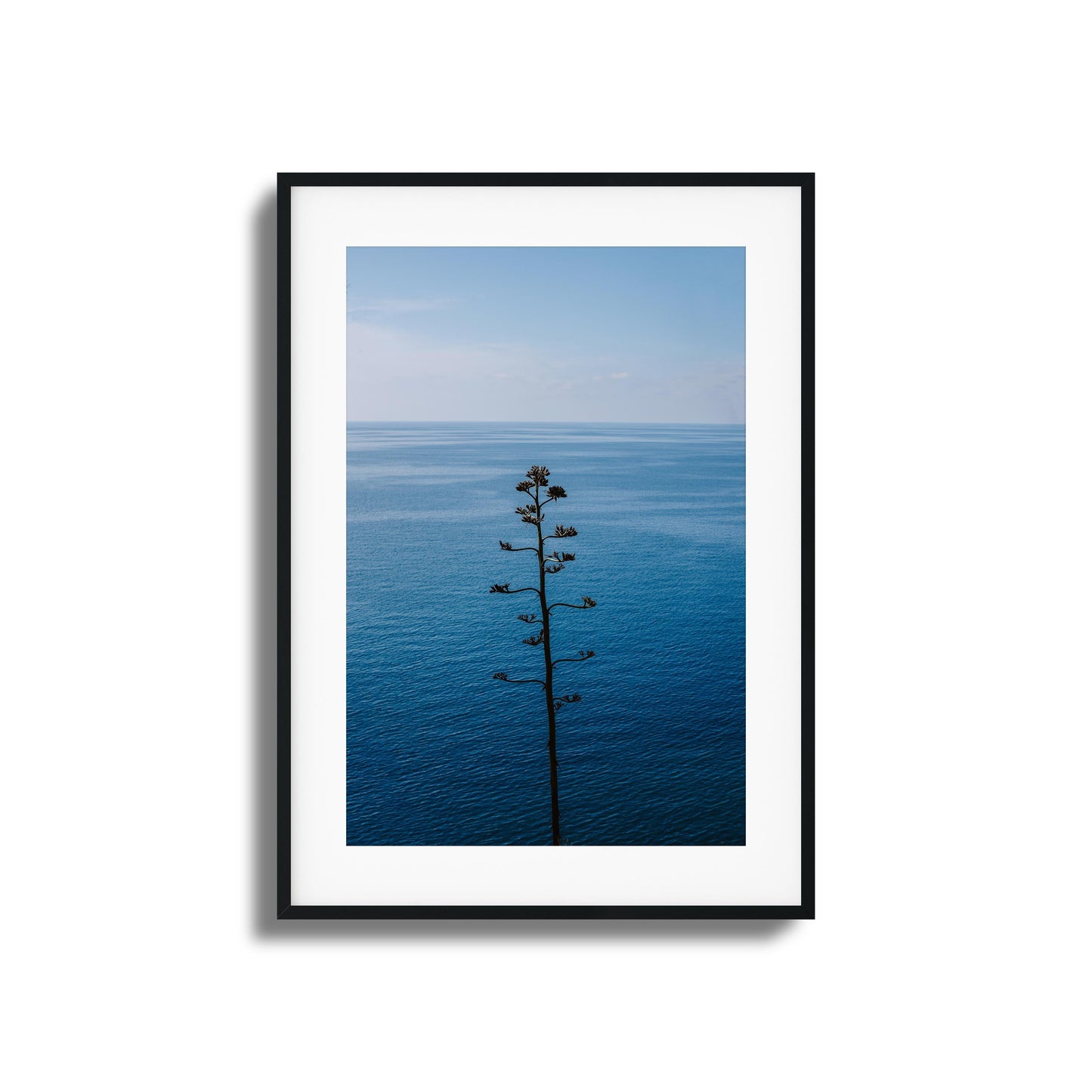 Bold Bloom Against Blue Framed Art