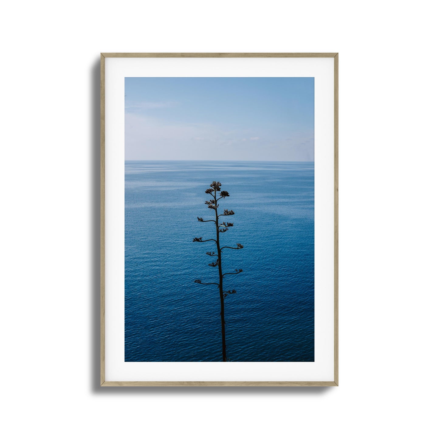 Bold Bloom Against Blue Framed Art