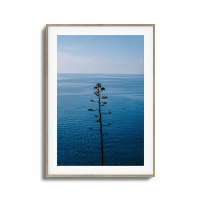 Bold Bloom Against Blue Framed Art