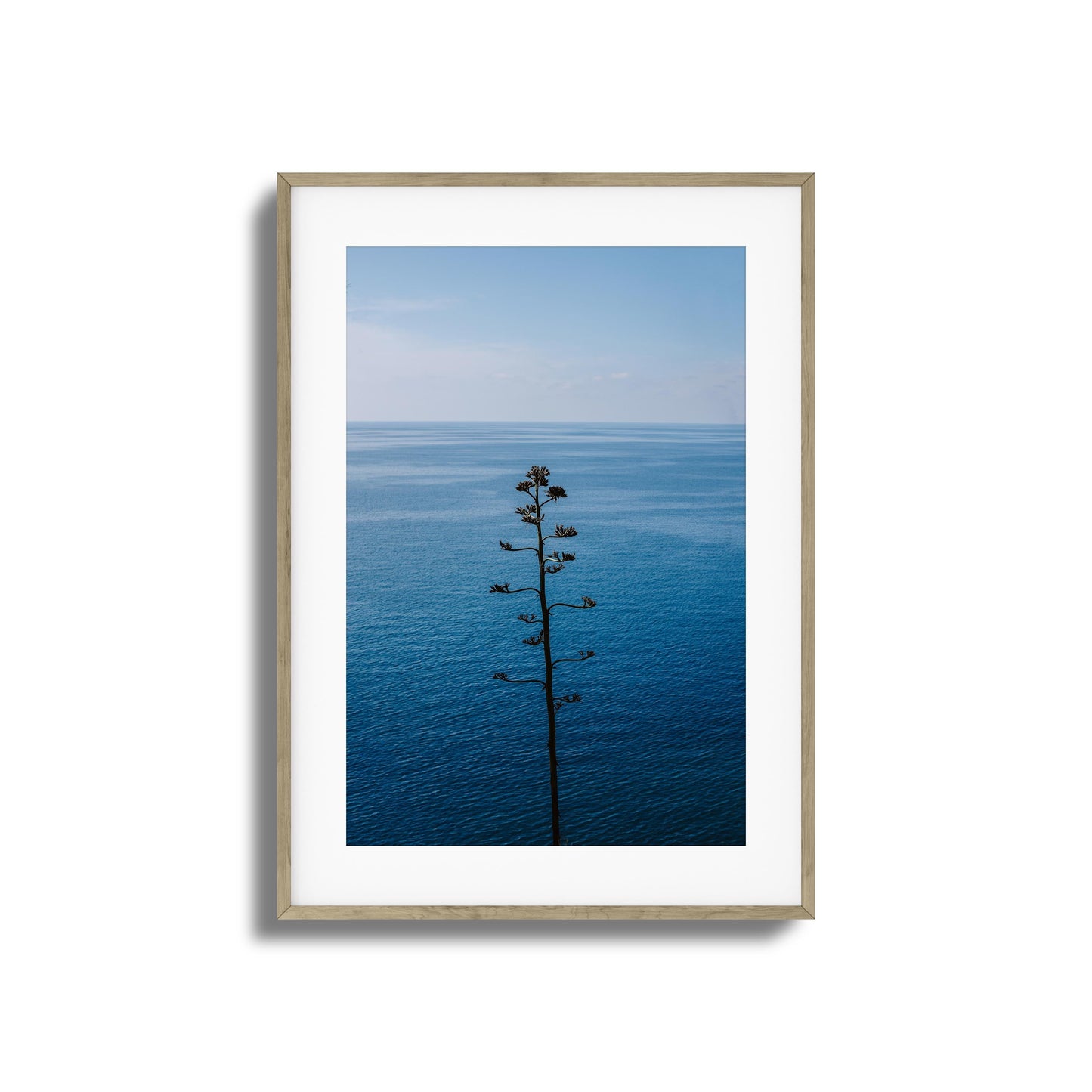 Bold Bloom Against Blue Framed Art