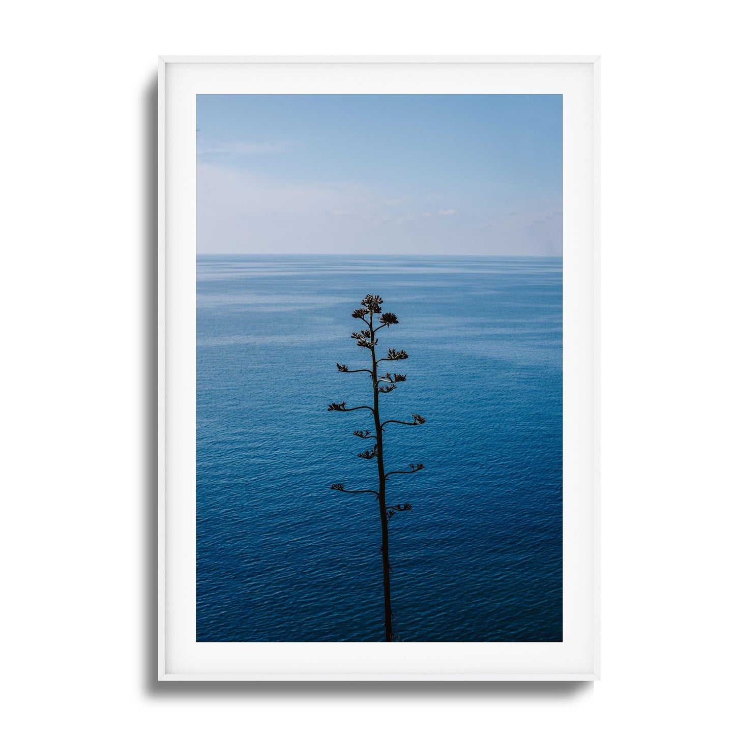 Bold Bloom Against Blue Framed Art