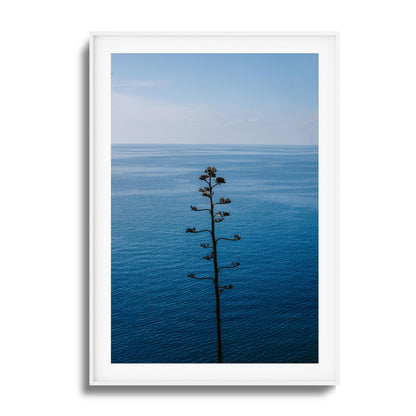 Bold Bloom Against Blue Framed Art