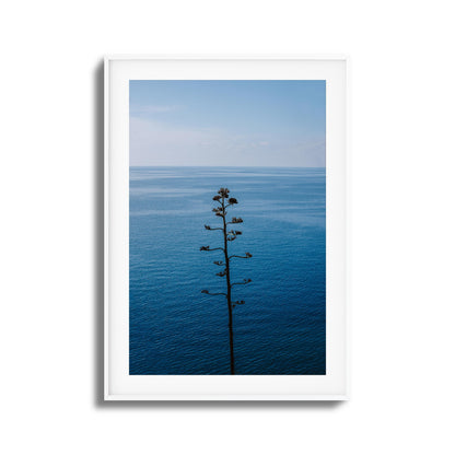 Bold Bloom Against Blue Framed Art