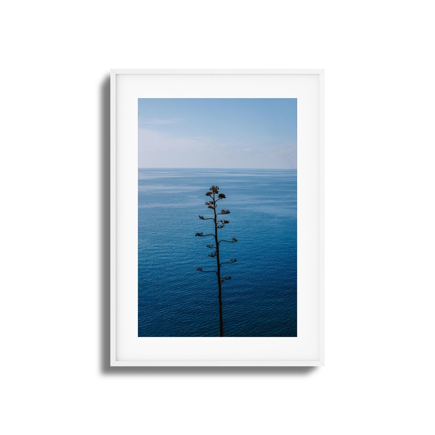 Bold Bloom Against Blue Framed Art