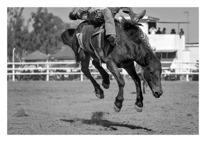 Bucking Instinct Framed Art