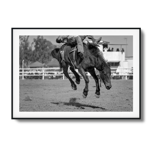 Bucking Instinct Framed Art - Assure Spark