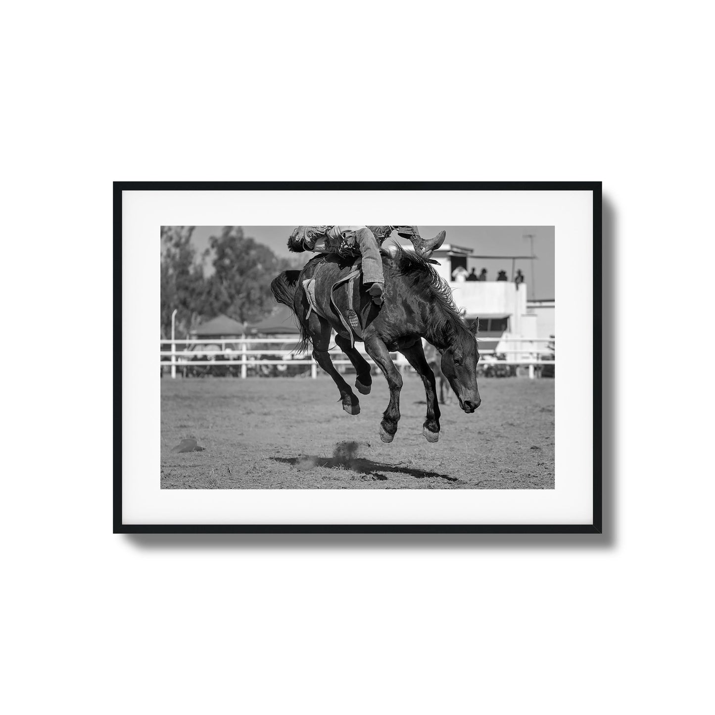 Bucking Instinct Framed Art