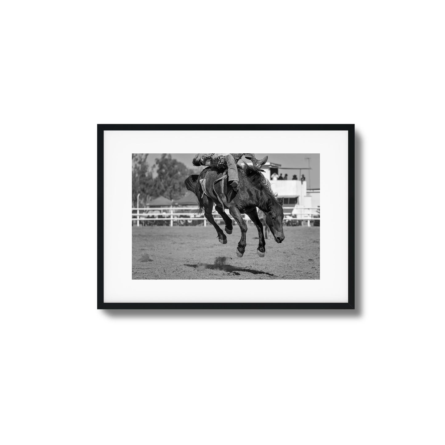 Bucking Instinct Framed Art