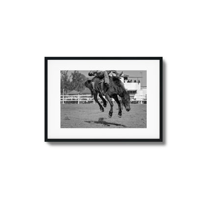 Bucking Instinct Framed Art