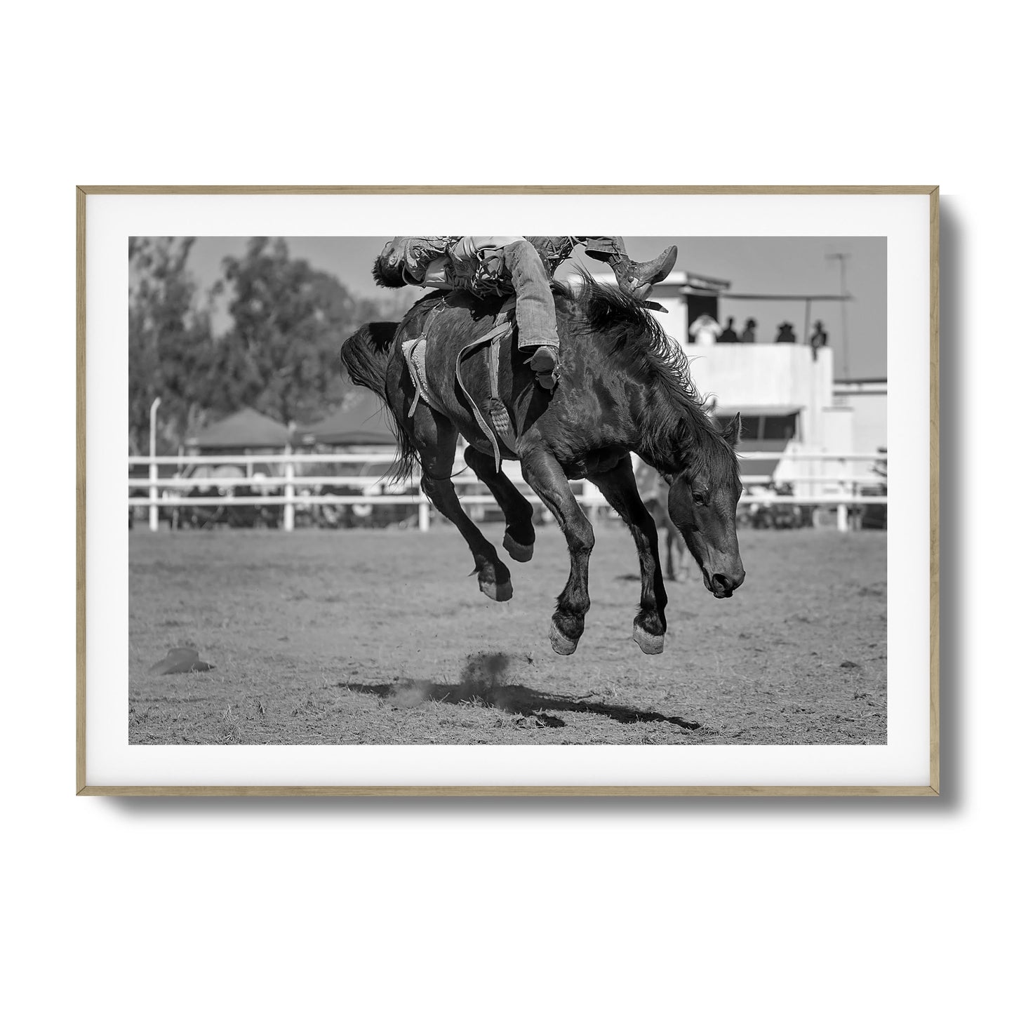 Bucking Instinct Framed Art