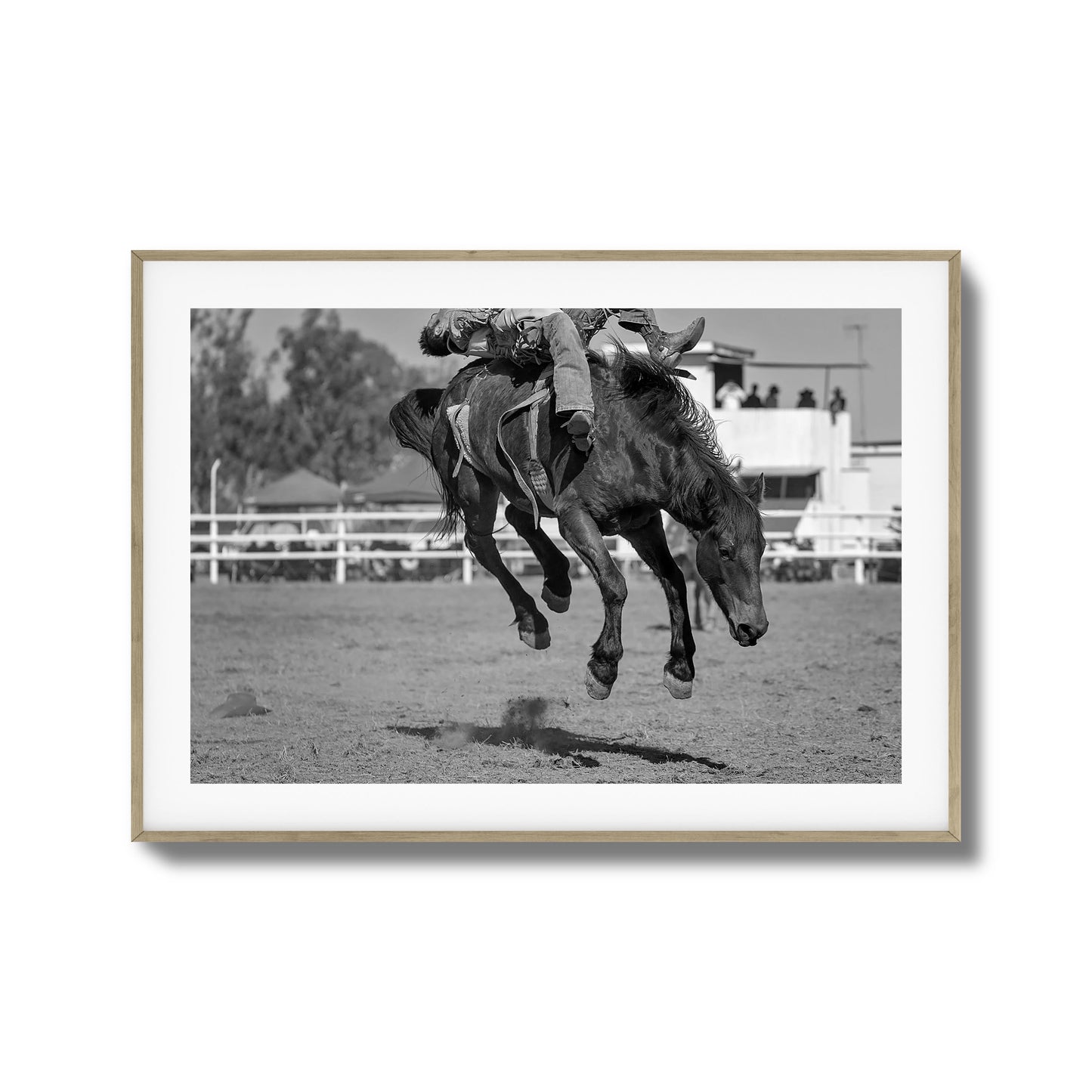 Bucking Instinct Framed Art