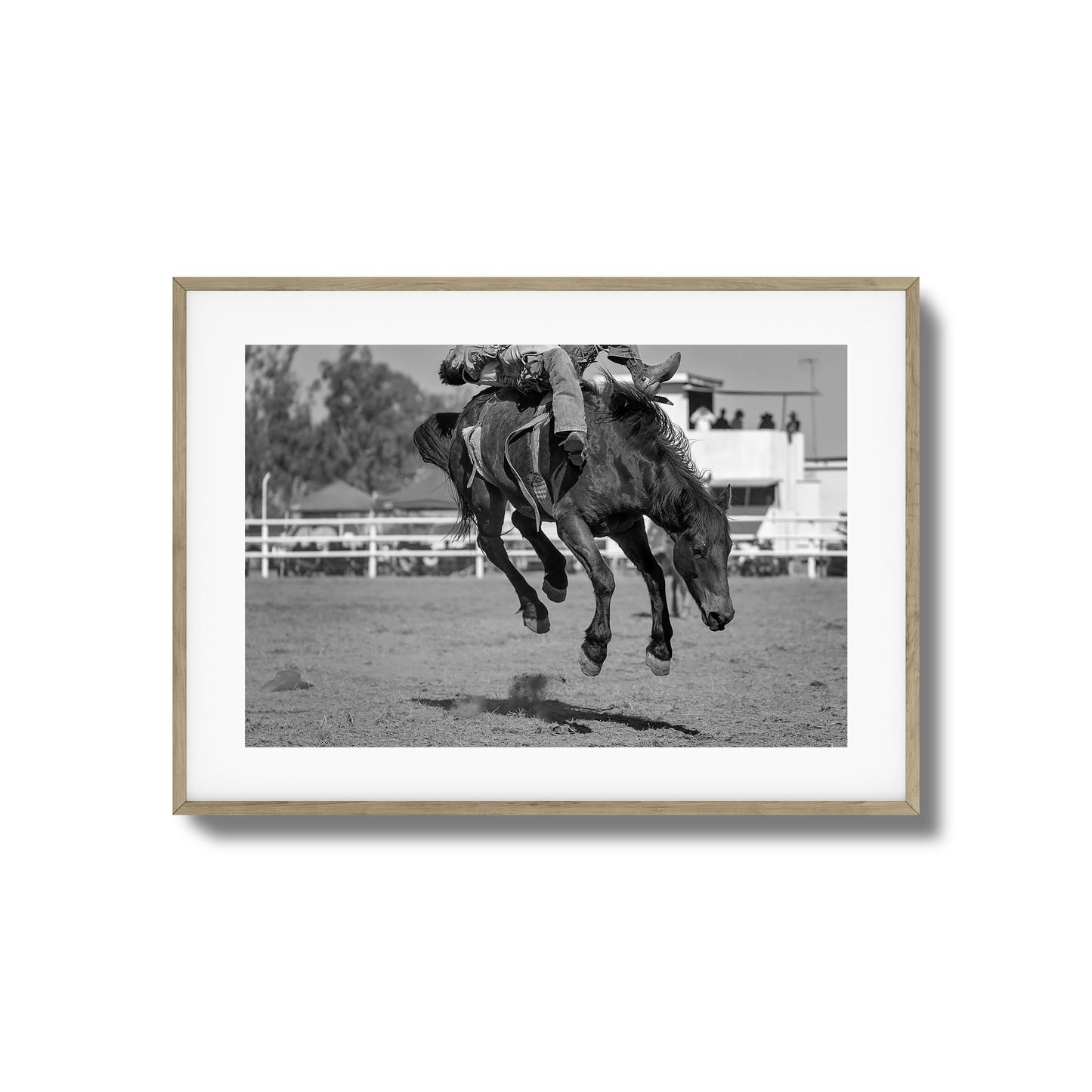 Bucking Instinct Framed Art