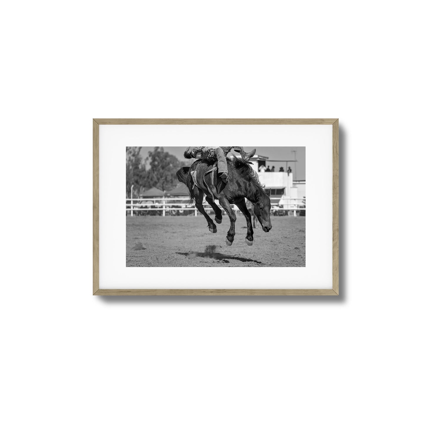Bucking Instinct Framed Art