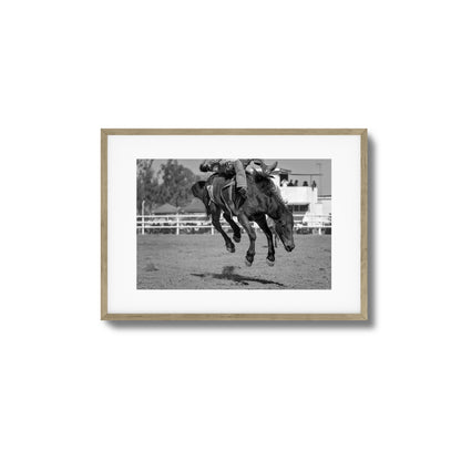 Bucking Instinct Framed Art