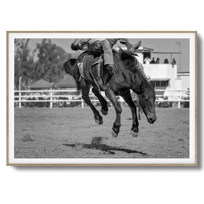Bucking Instinct Framed Art