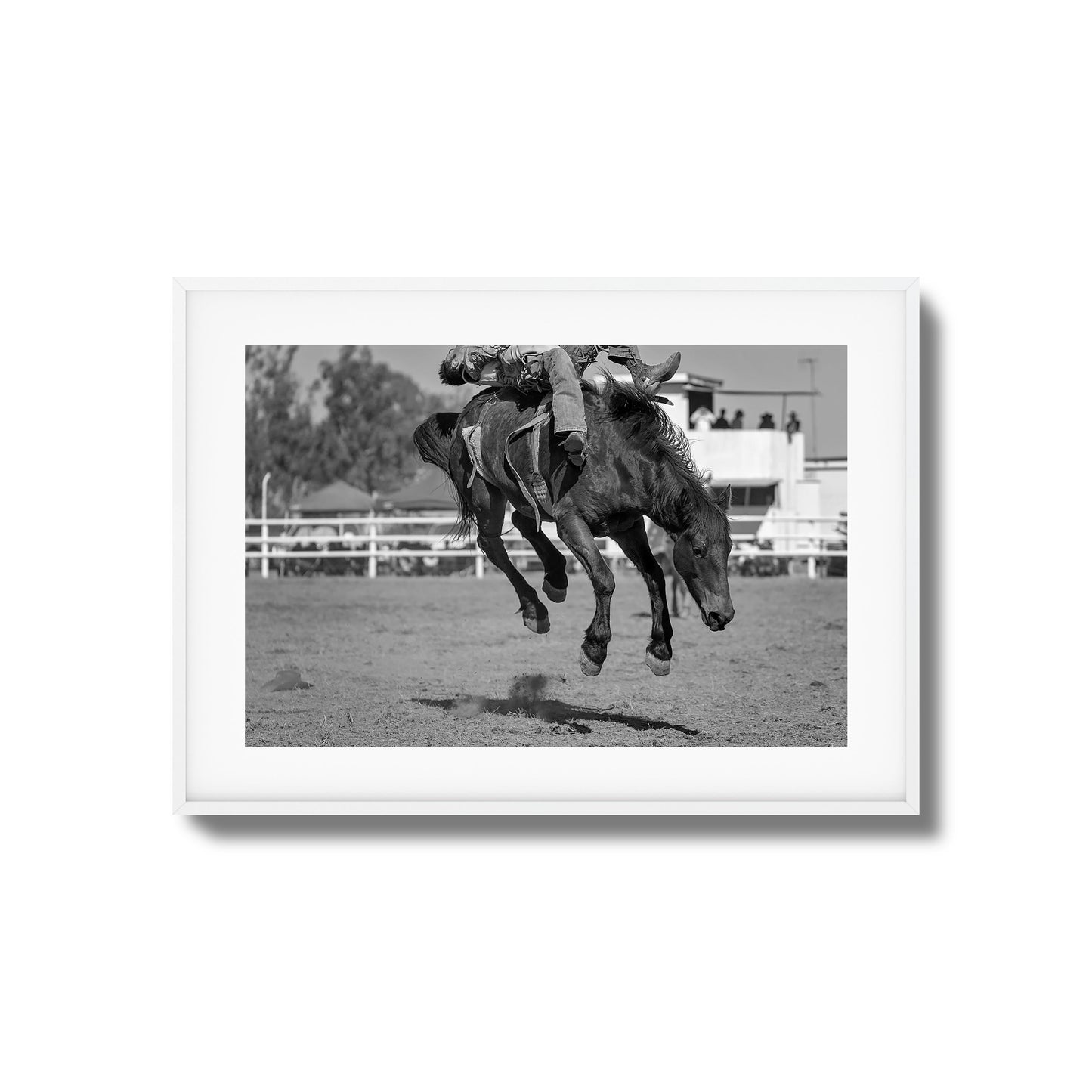 Bucking Instinct Framed Art