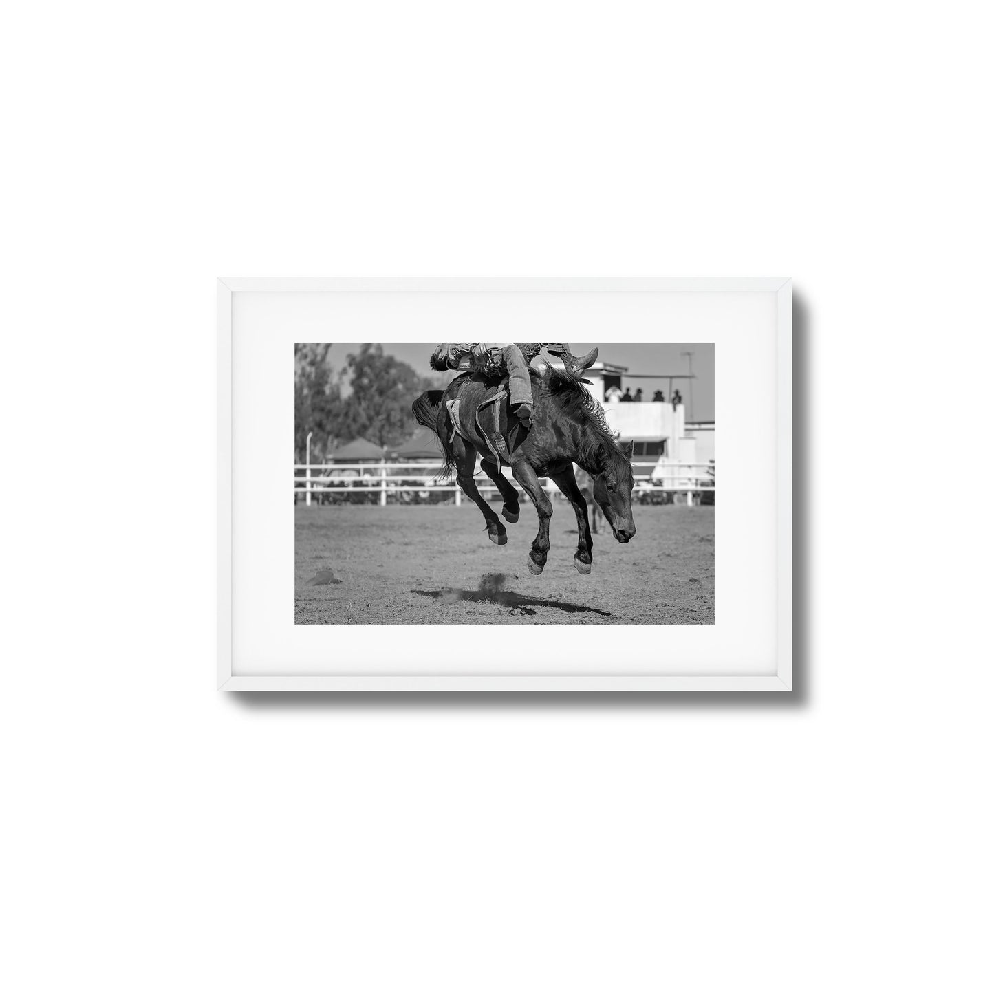 Bucking Instinct Framed Art