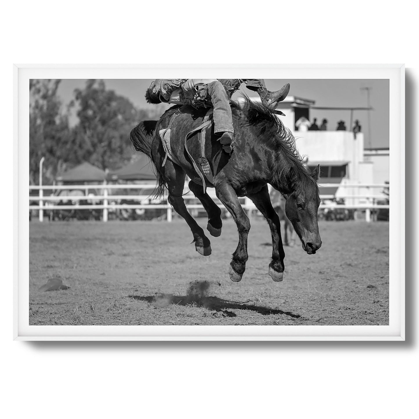 Bucking Instinct Framed Art