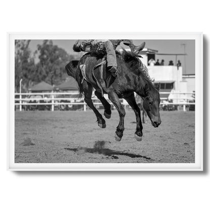 Bucking Instinct Framed Art