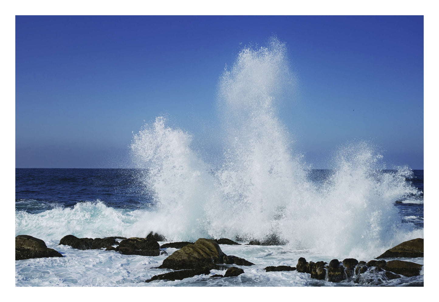 Champagne Curve Framed Art