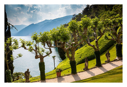 Coastal Garden View Over Lake Framed Art