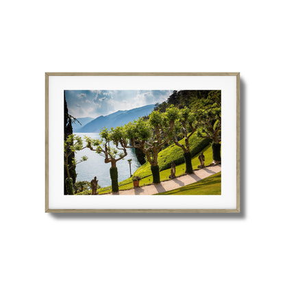 Coastal Garden View Over Lake Framed Art