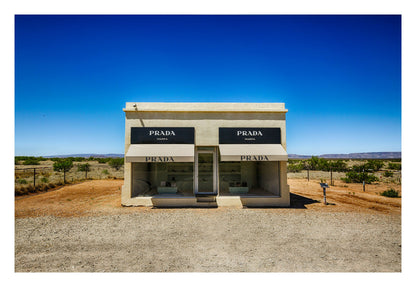 Desert Luxe Framed Art