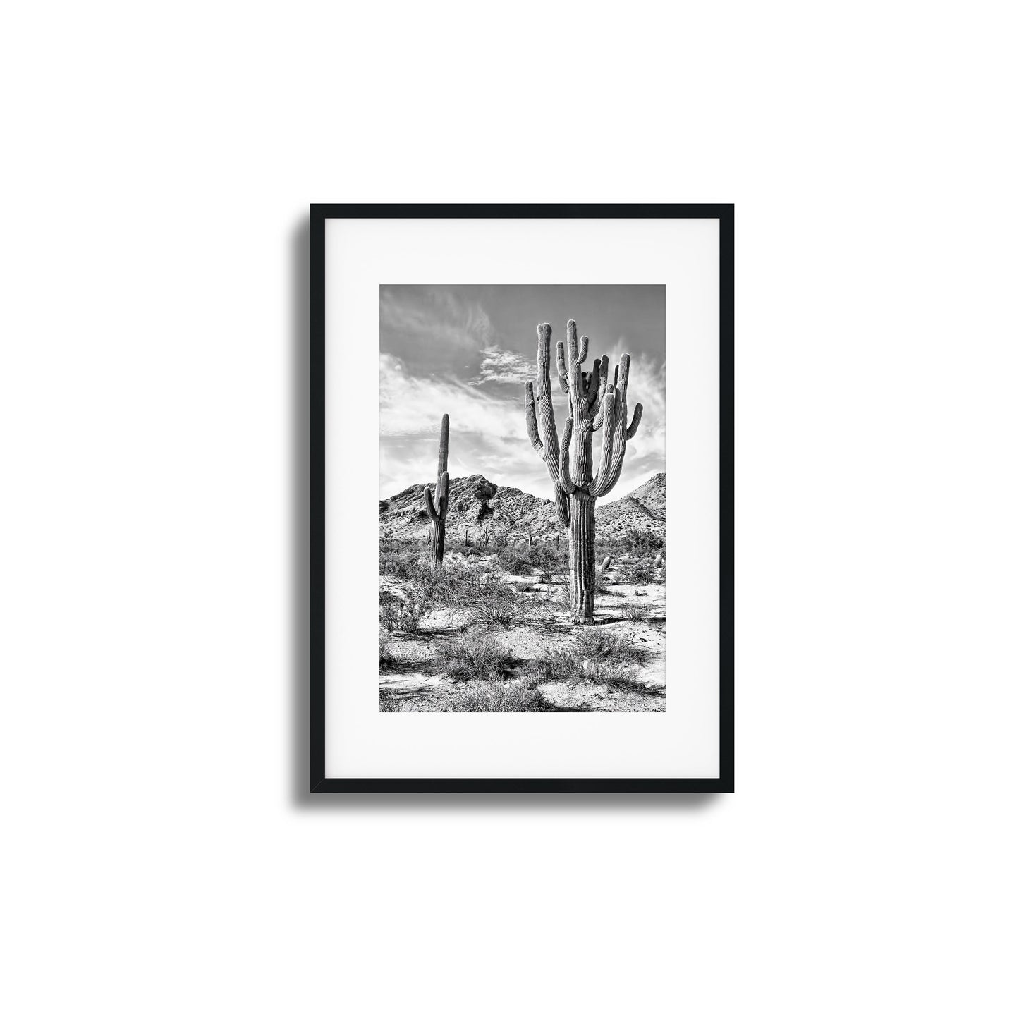 Black-and-white desert cacti and mountains framed art