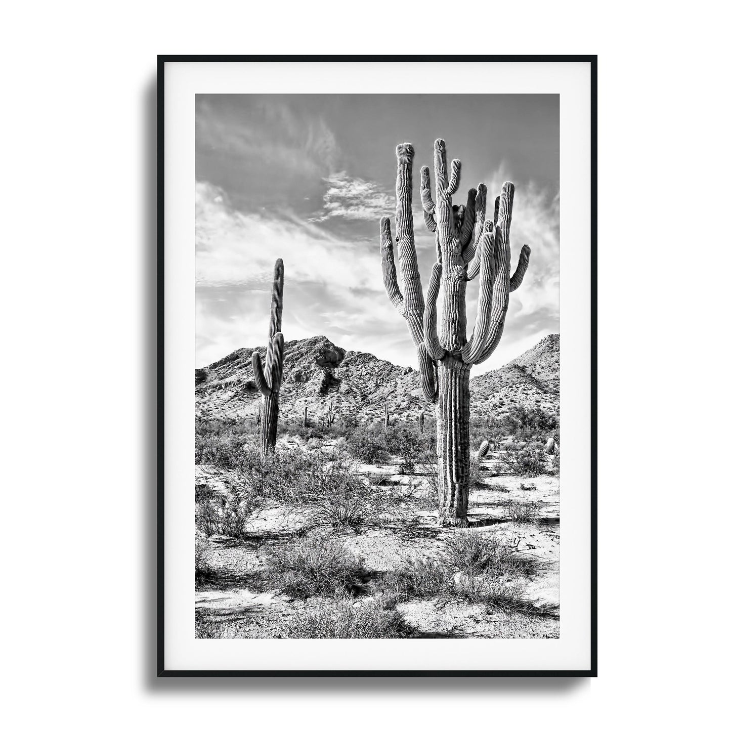 Black-and-white desert cacti and mountains framed art