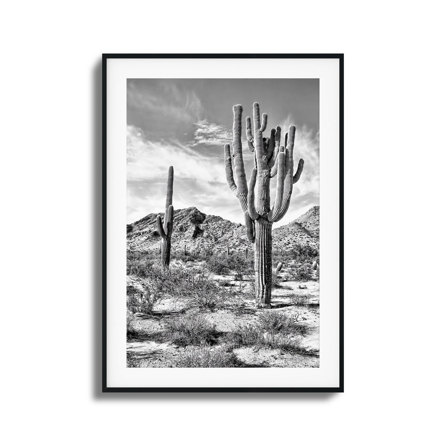 Black-and-white desert cacti and mountains framed art