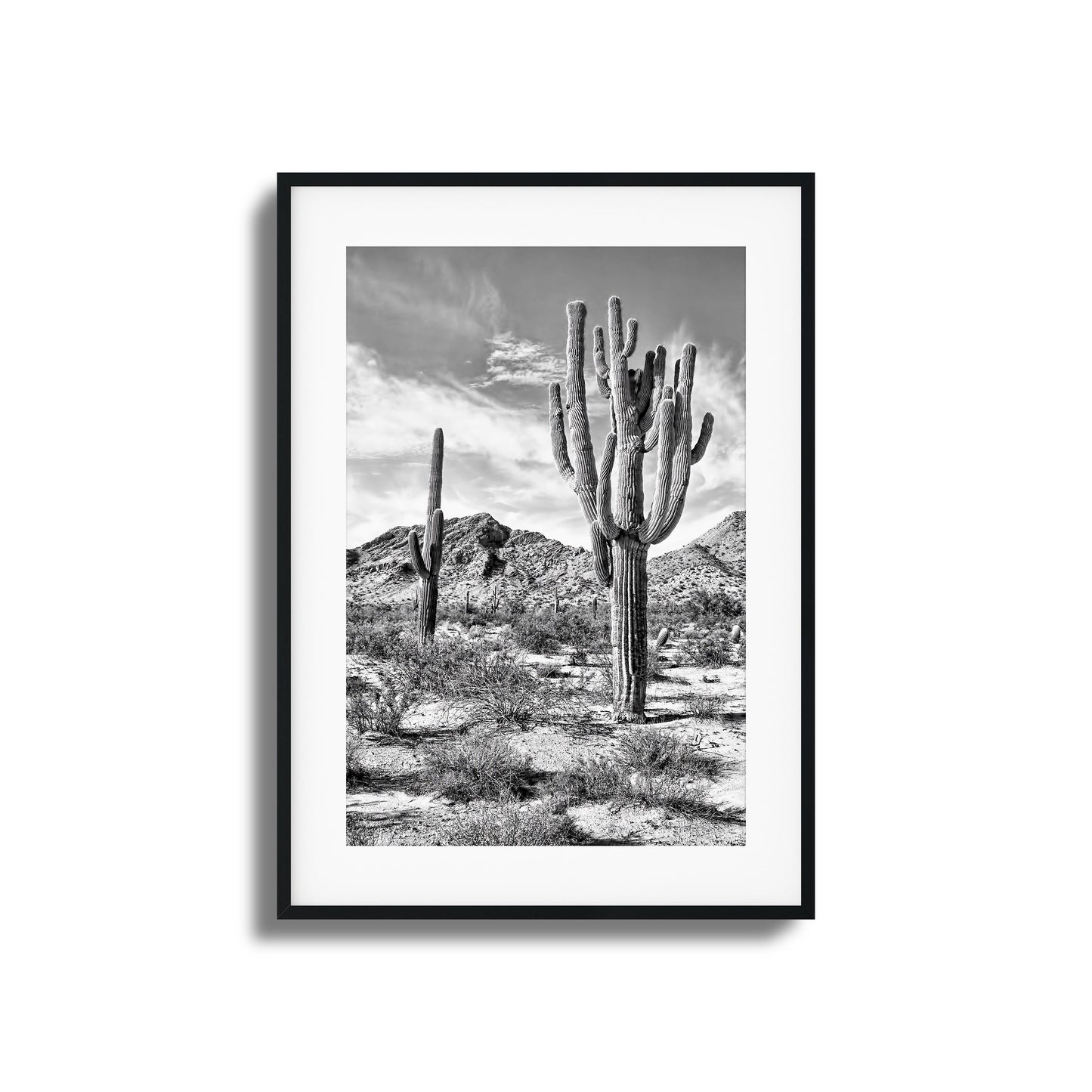 Black-and-white desert cacti and mountains framed art