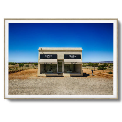 Desert Luxe Framed Art