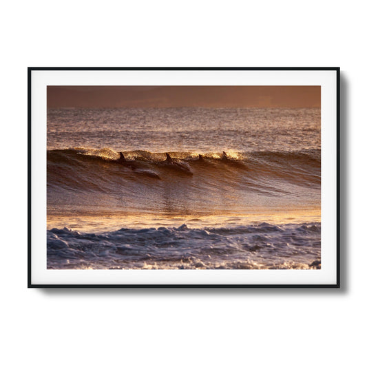 Dolphins at Dusk Framed Art