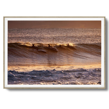 Dolphins at Dusk Framed Art