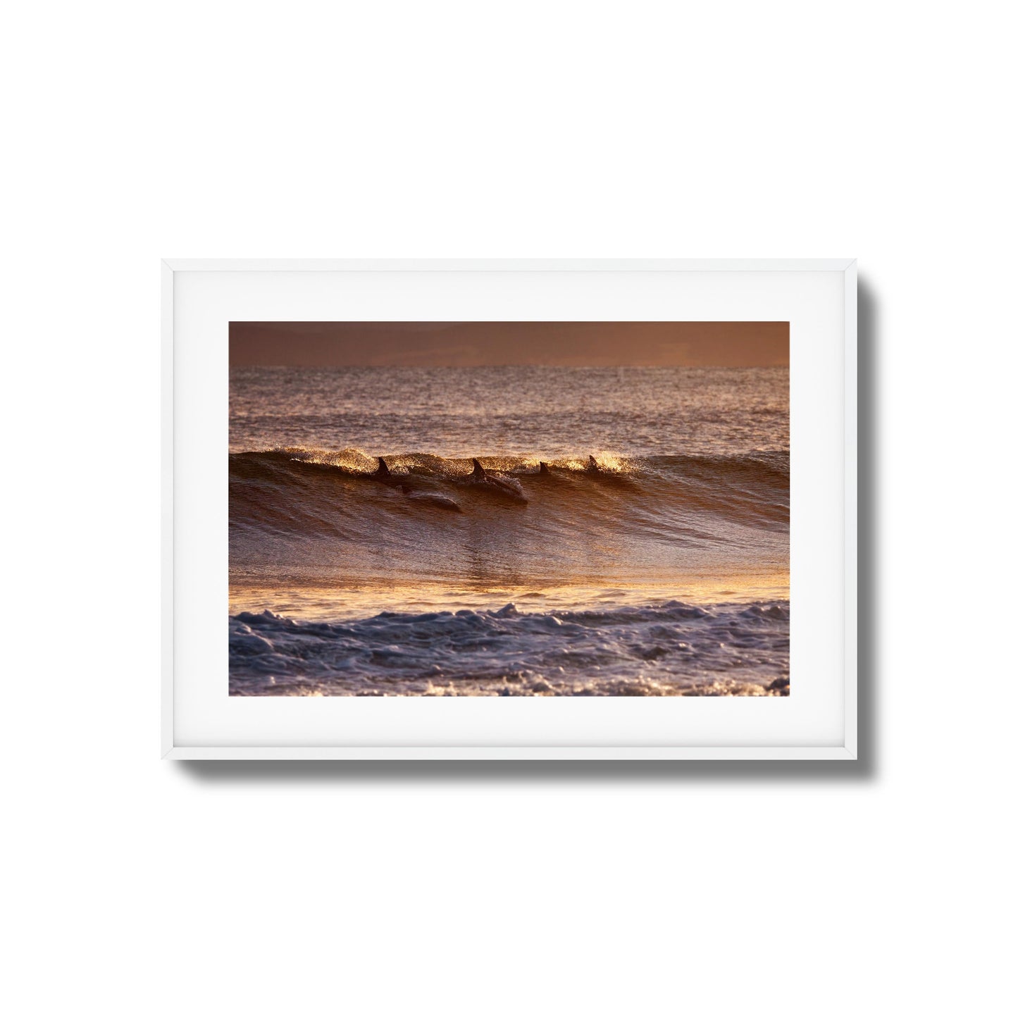 Dolphins at Dusk Framed Art