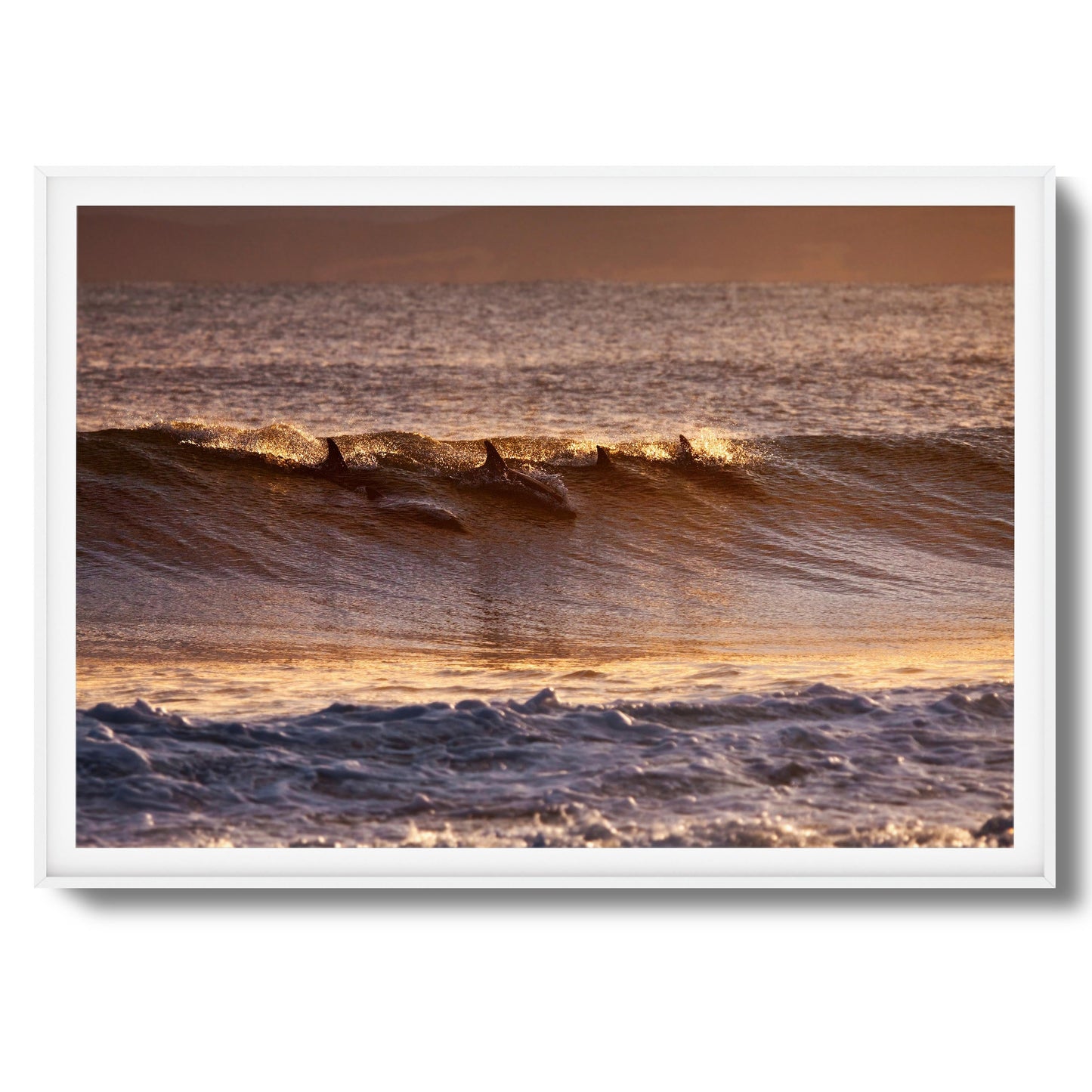 Dolphins at Dusk Framed Art