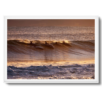 Dolphins at Dusk Framed Art