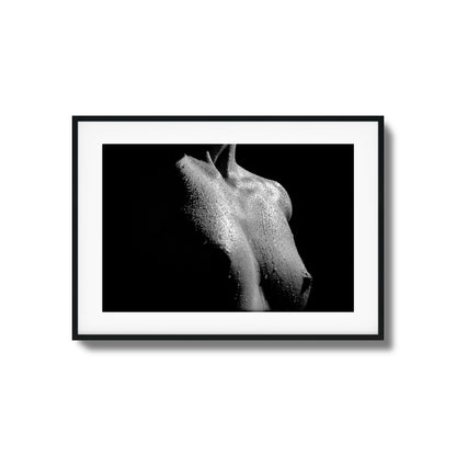 Drenched in Light Framed Art