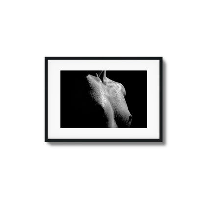 Drenched in Light Framed Art