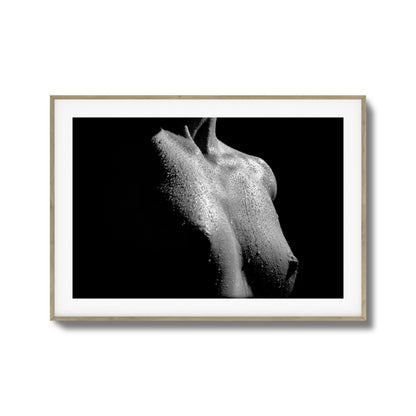 Drenched in Light Framed Art