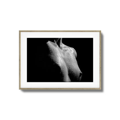 Drenched in Light Framed Art