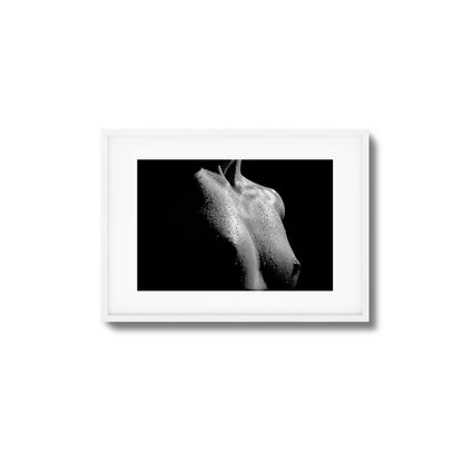 Drenched in Light Framed Art