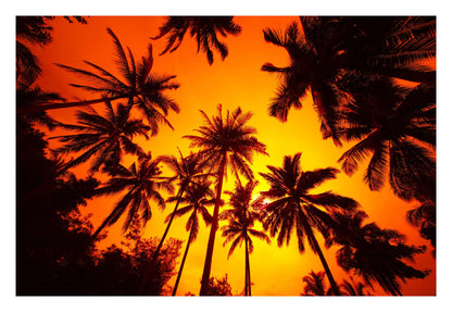 Ember Palms Framed Art