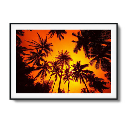 Ember Palms Framed Art - Assure Spark
