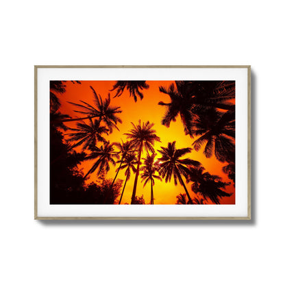 Ember Palms Framed Art