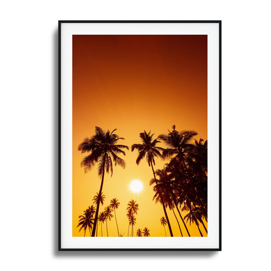 Evening Palms Framed Art