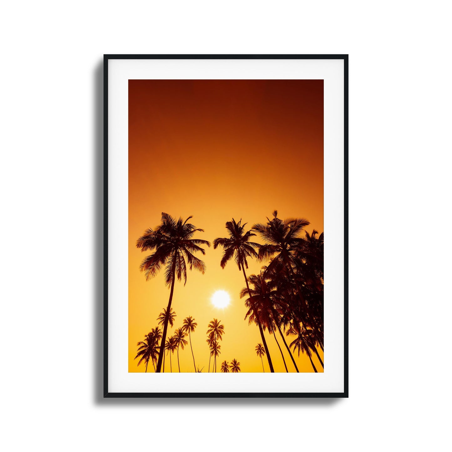 Evening Palms Framed Art