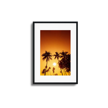 Evening Palms Framed Art