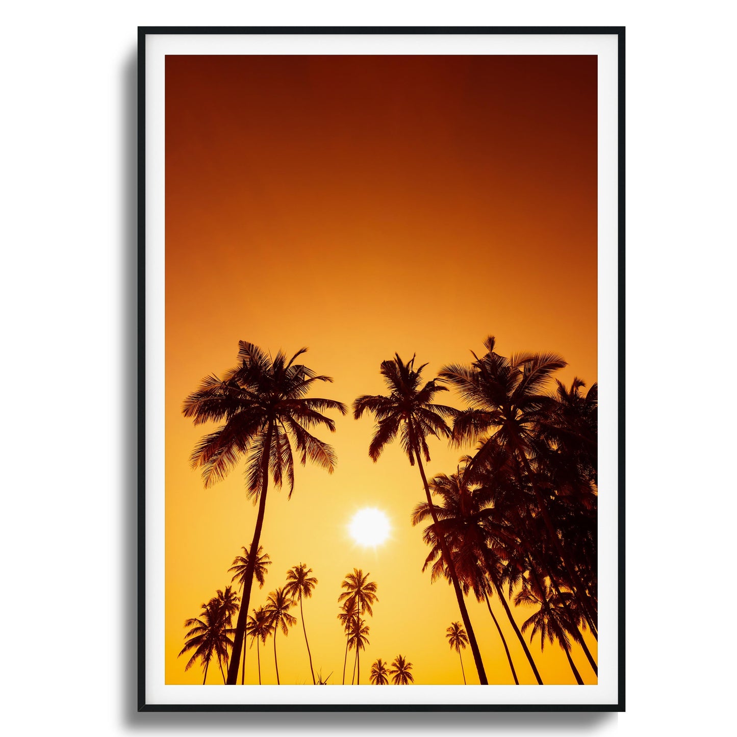 Evening Palms Framed Art